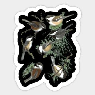 Chickadee Sticker